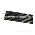Promotional pencil, craft paper pencil, customizable paper pencil